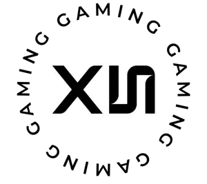 x5 gaming esports equipo.