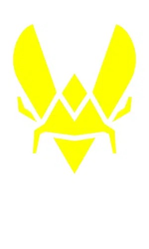 Team Vitality